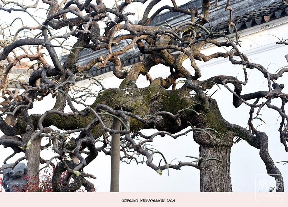 _DSC3478 ����.jpg