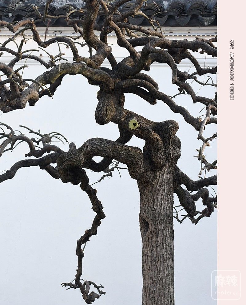 _DSC3462 ����.jpg