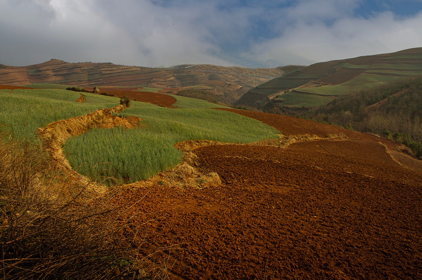 DSC00148 ����a.jpg