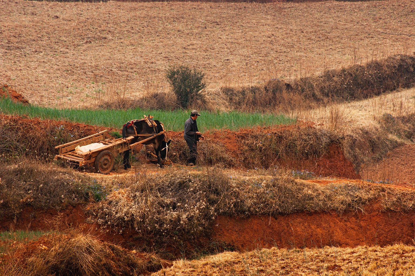 DSC00030 ����a.jpg