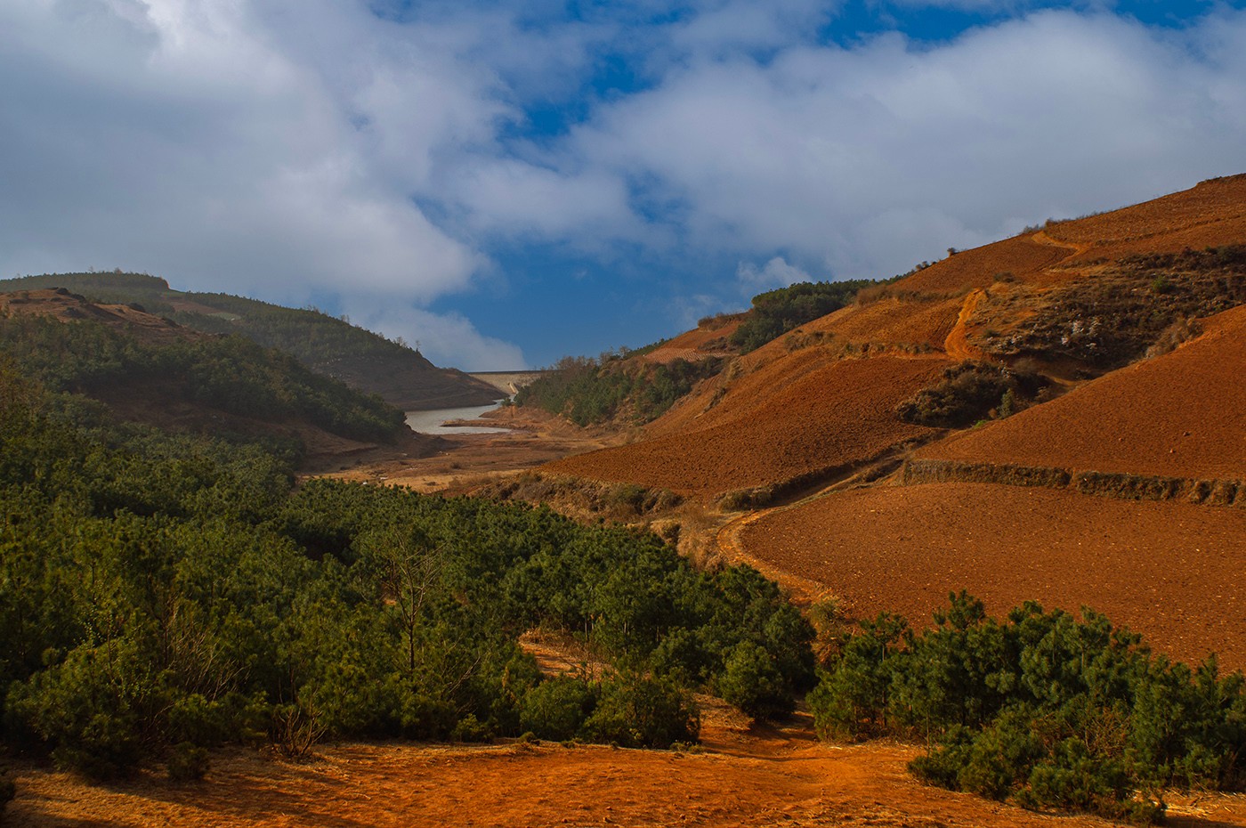 DSC00158 ����a.jpg