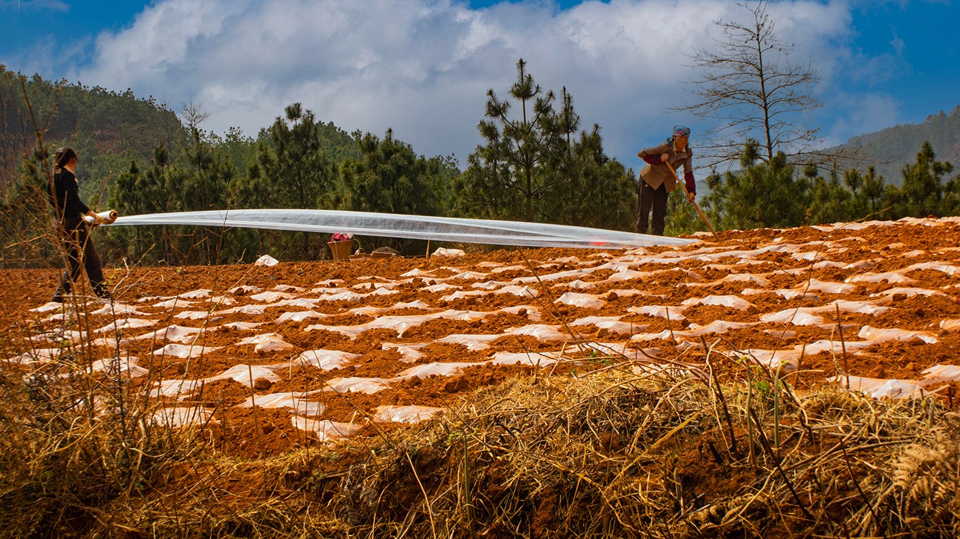 DSC00037 ����a.jpg