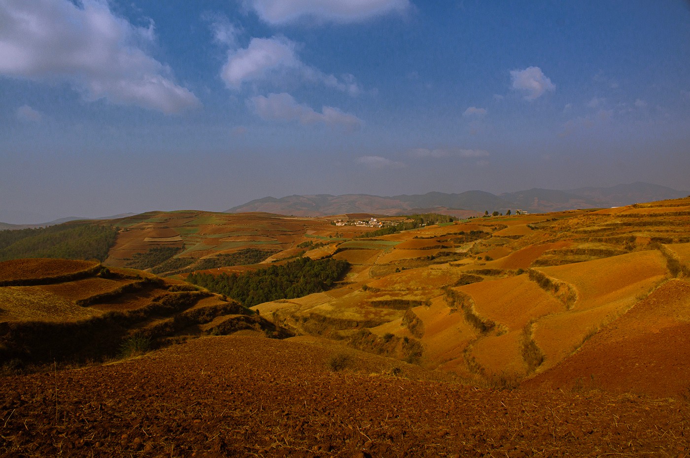 DSC00178 ����a.jpg