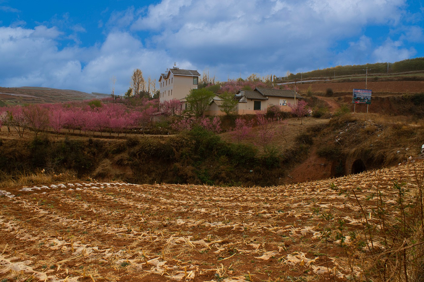 DSC00115 ����a.jpg