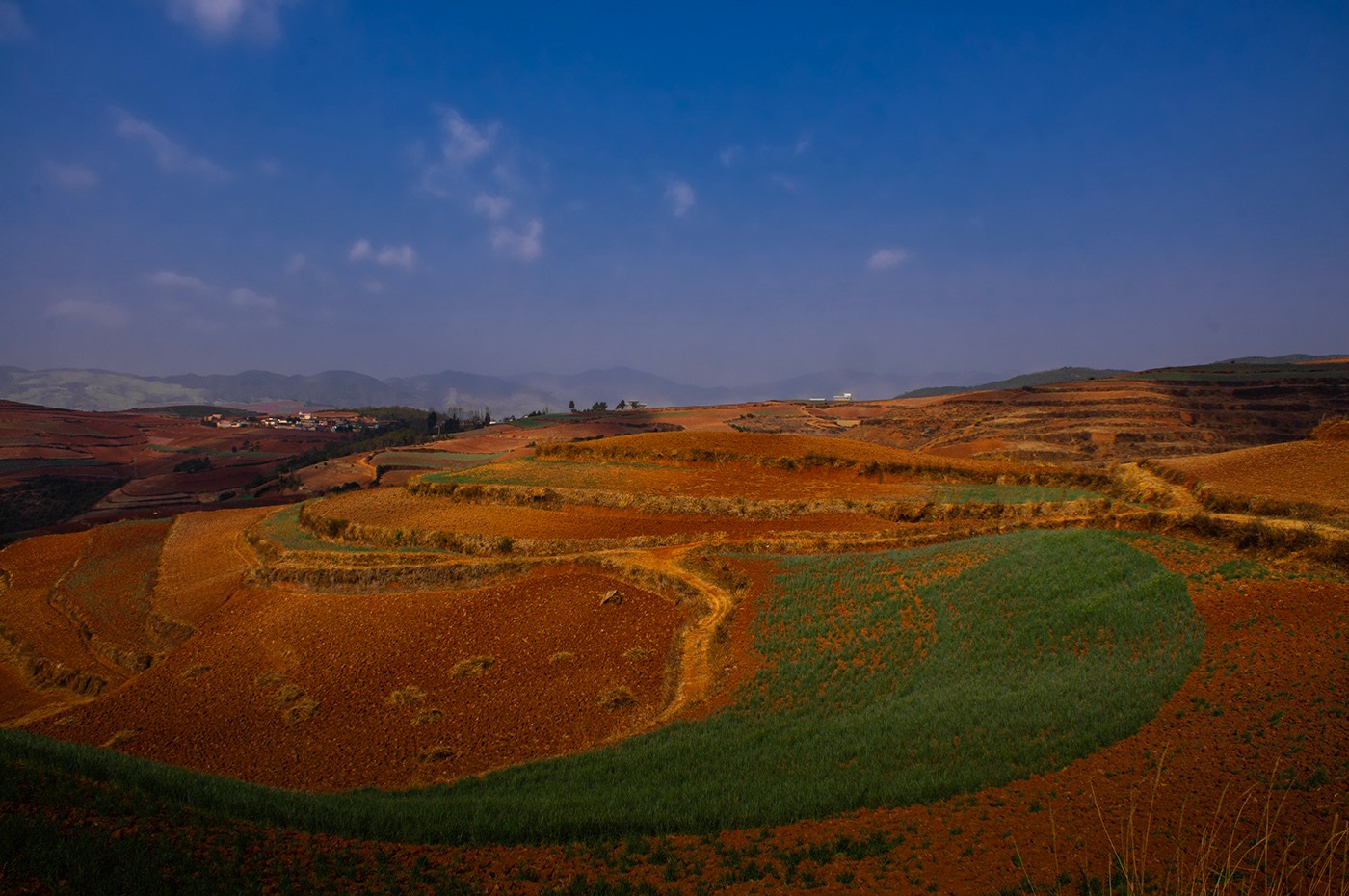 DSC00186 ����a.jpg