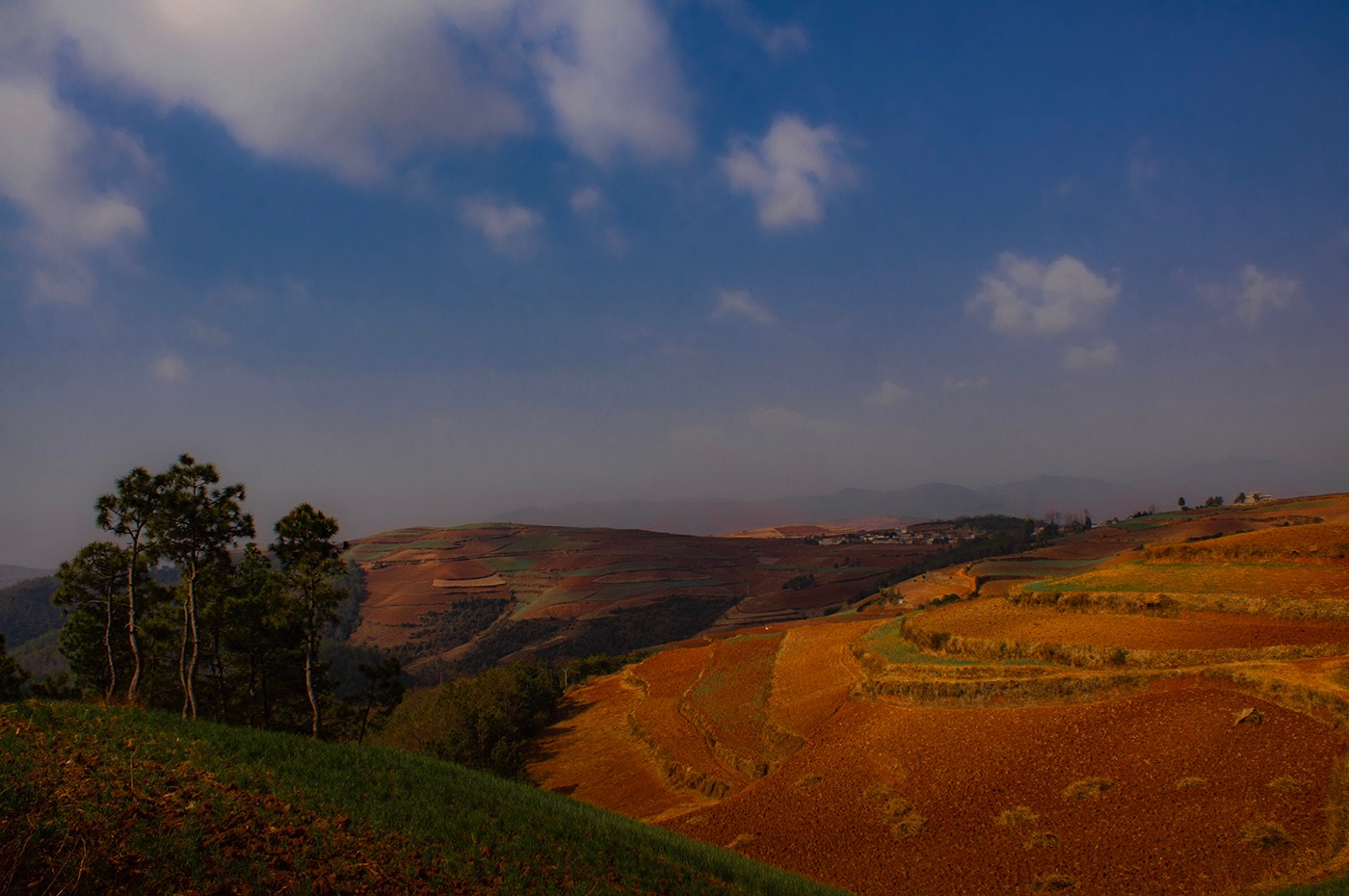 DSC00184 ����a.jpg