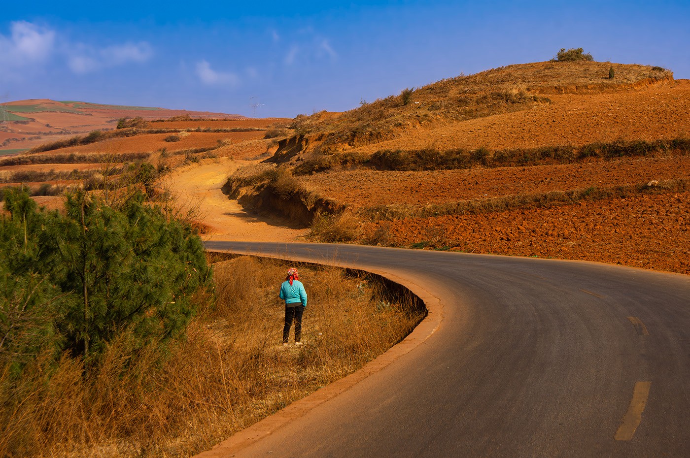 DSC00157-����ǿ-NR ����a.jpg