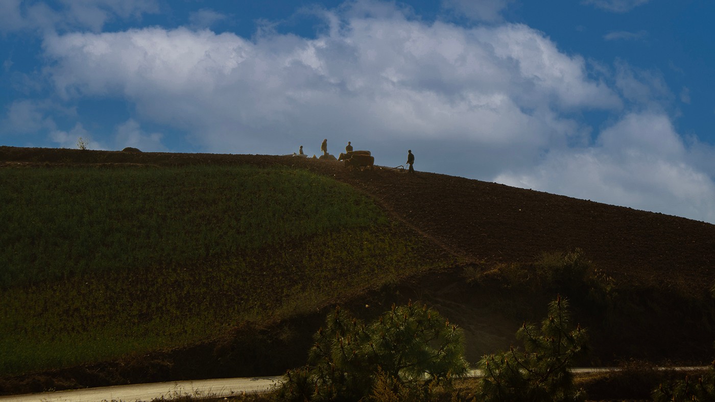 DSC00195-2 ����a.jpg