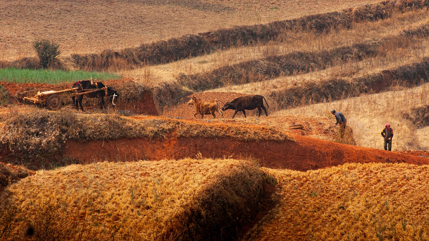 DSC00027 ����a.jpg