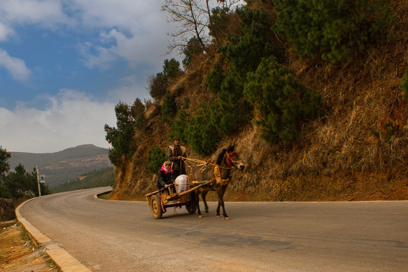 DSC09900 ����a.jpg