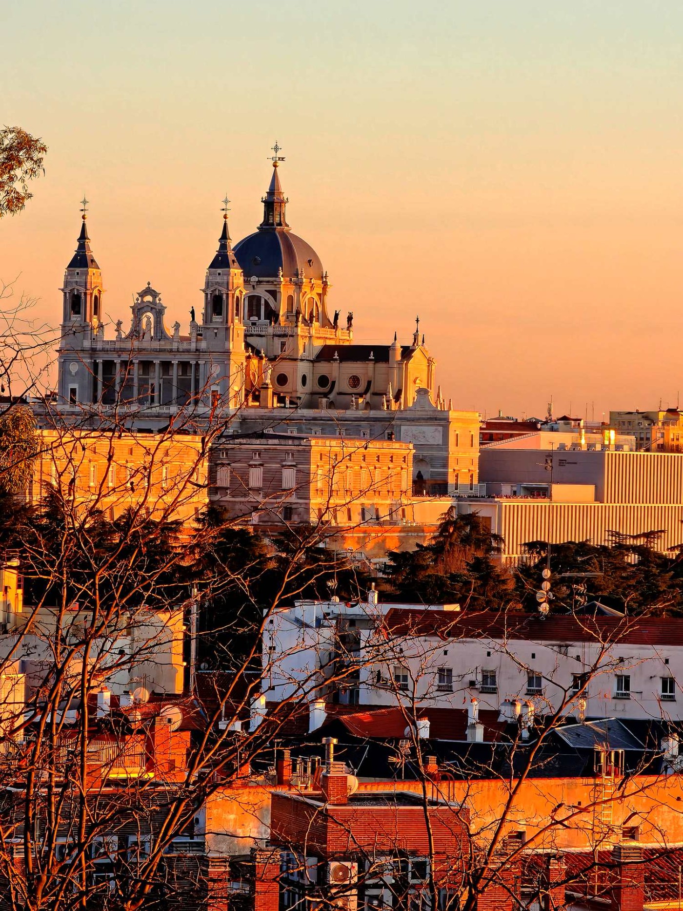 �����µ���ʥĸ�����ûƻ辰��