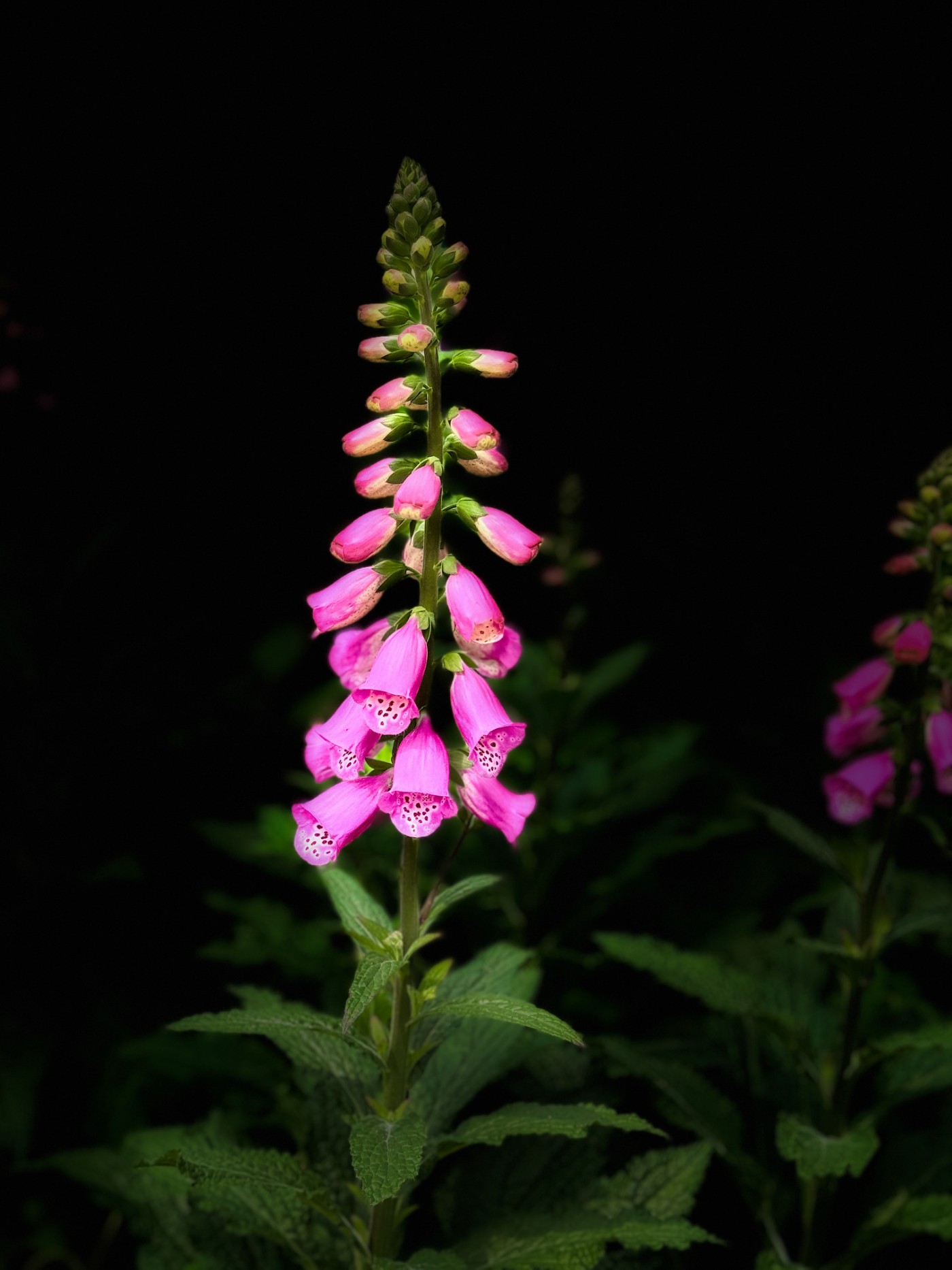 �ֻ�����֮�����޼���