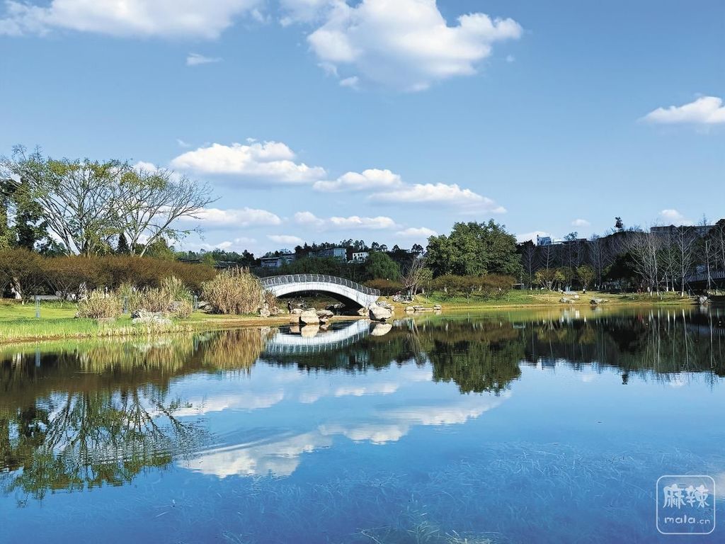 ac23e348-894f-49d1-9f2b-5e5a48adef3d.tif.2