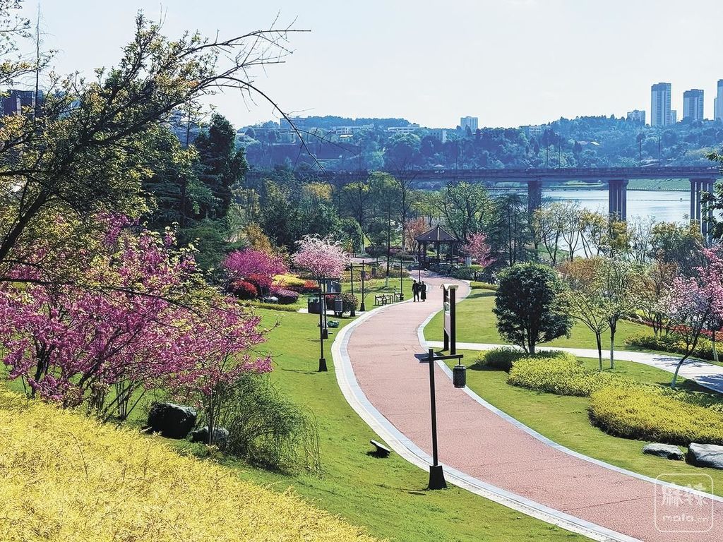 2f742e25-1022-438f-8b69-a501ddb24631.tif.2