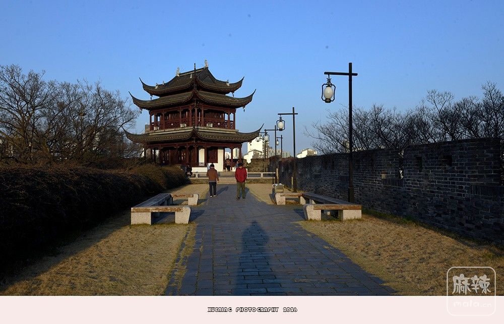 _DSC3934 ����.jpg