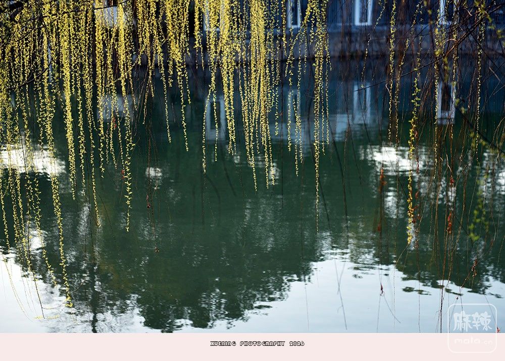 _DSC3938 ����.jpg