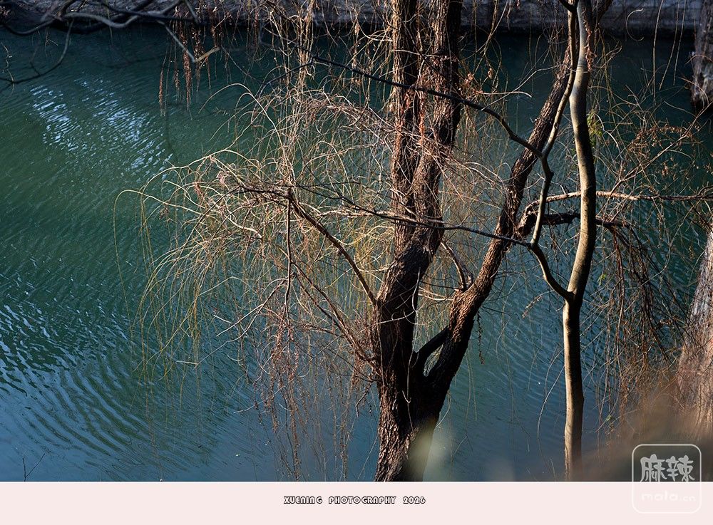 _DSC3925 ����.jpg