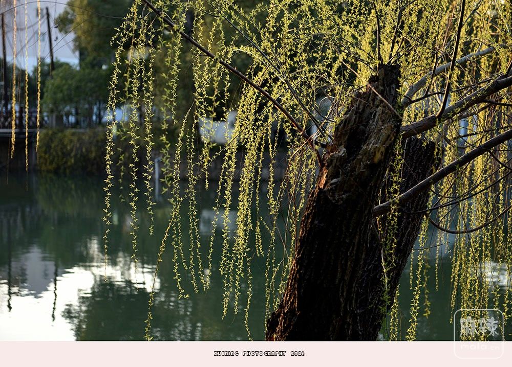 _DSC3945 ����.jpg