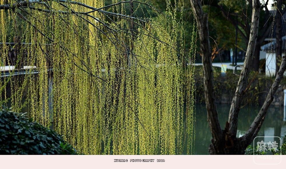 _DSC3950 ����.jpg