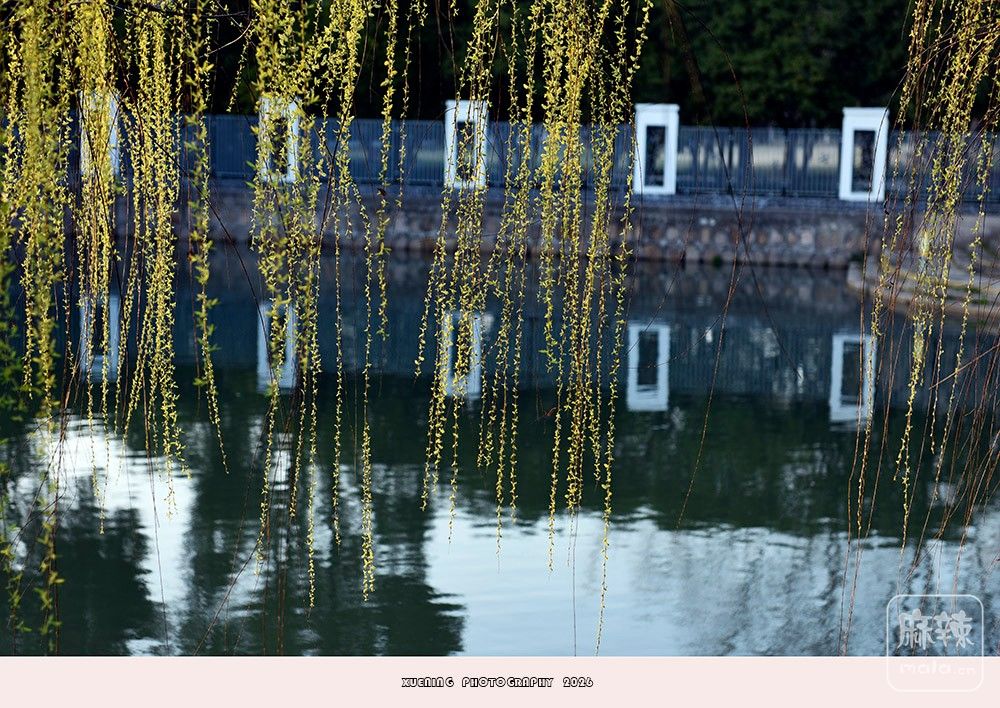 _DSC3946 ����.jpg