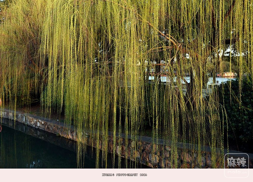 _DSC3961 ����.jpg