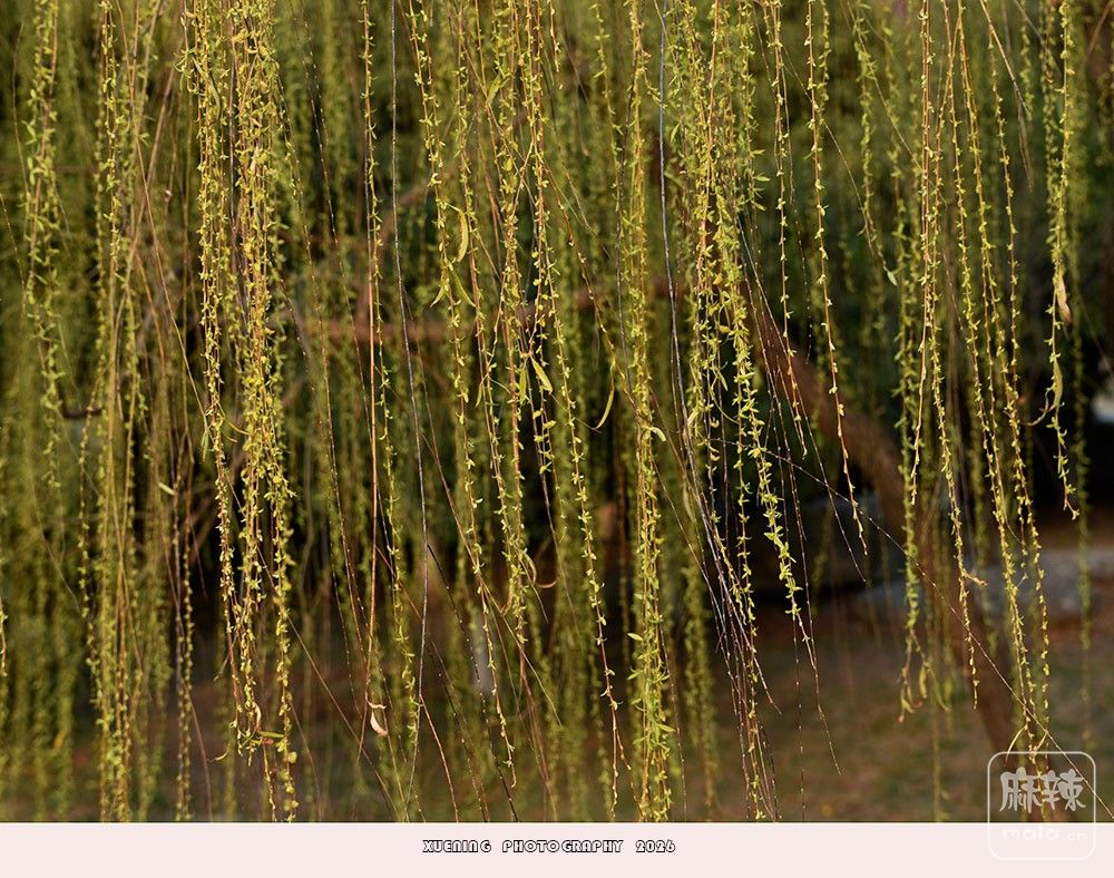 _DSC4136 ����.jpg