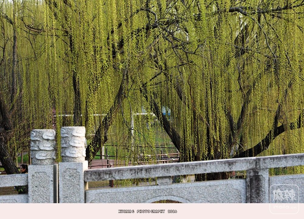 _DSC4135 ����.jpg