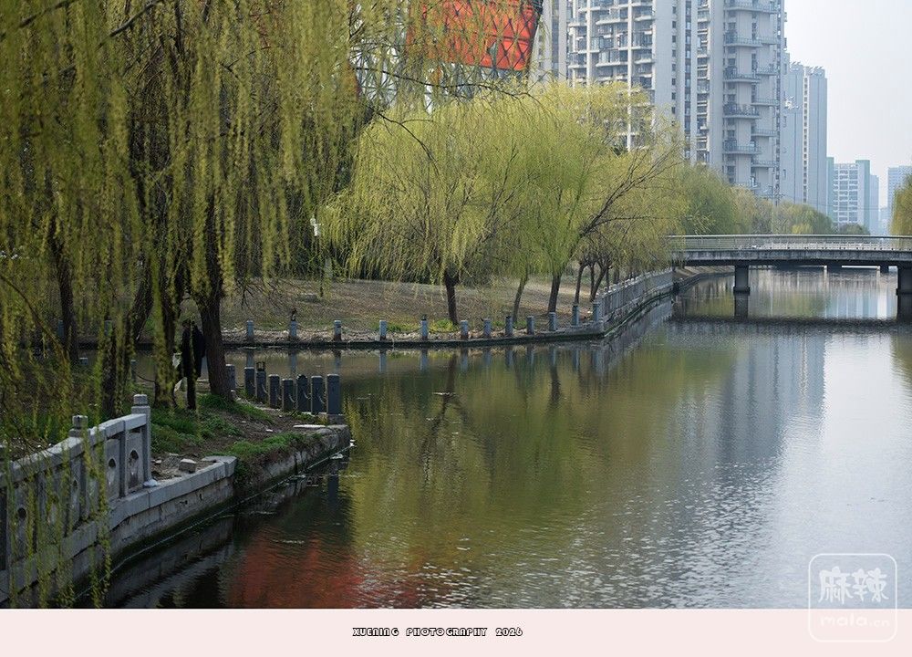 _DSC4073 ����.jpg