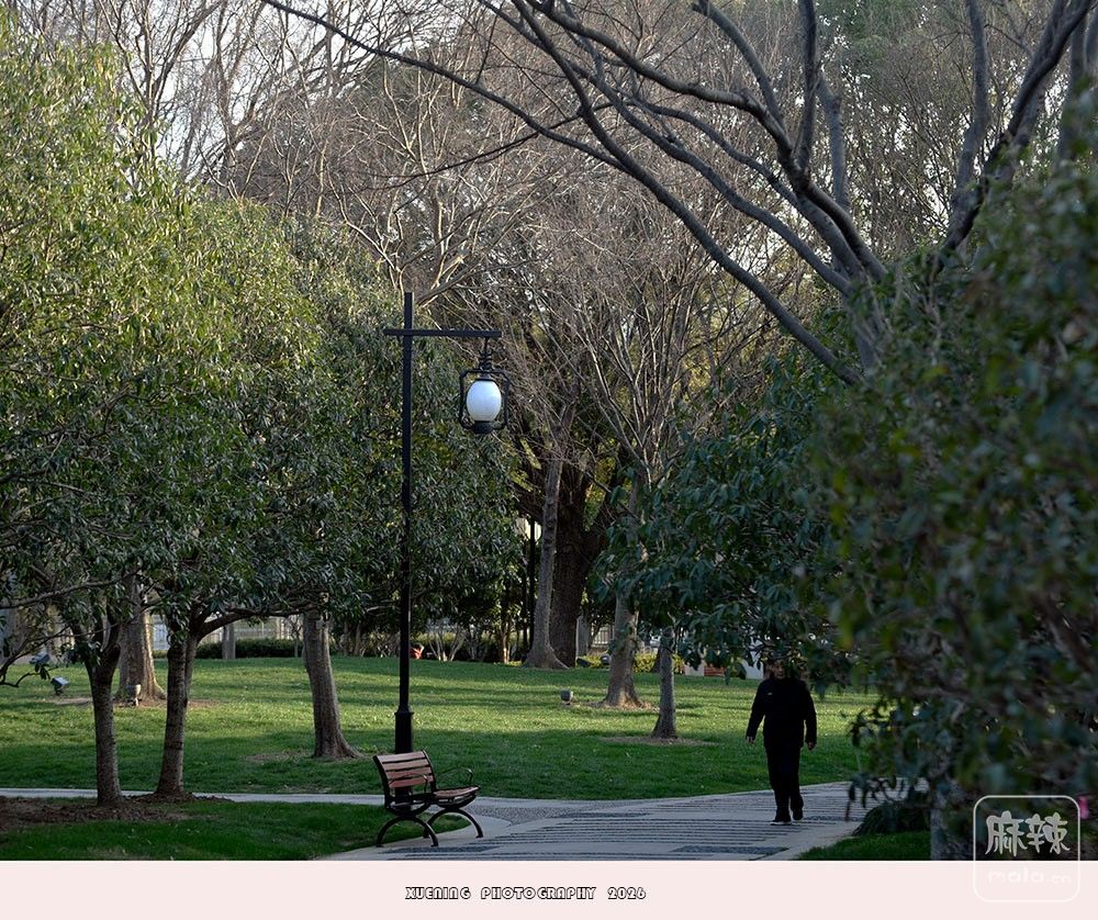 _DSC3881 ����.jpg