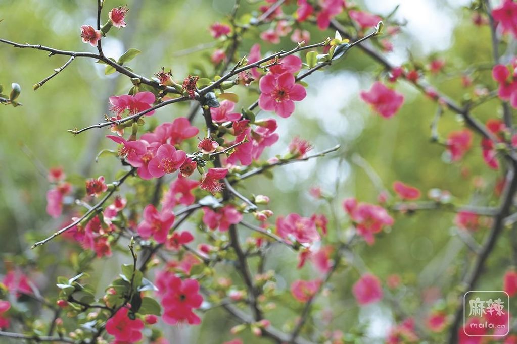 fcfe0548-0841-4671-9d9a-831da0d06fab.tif.2