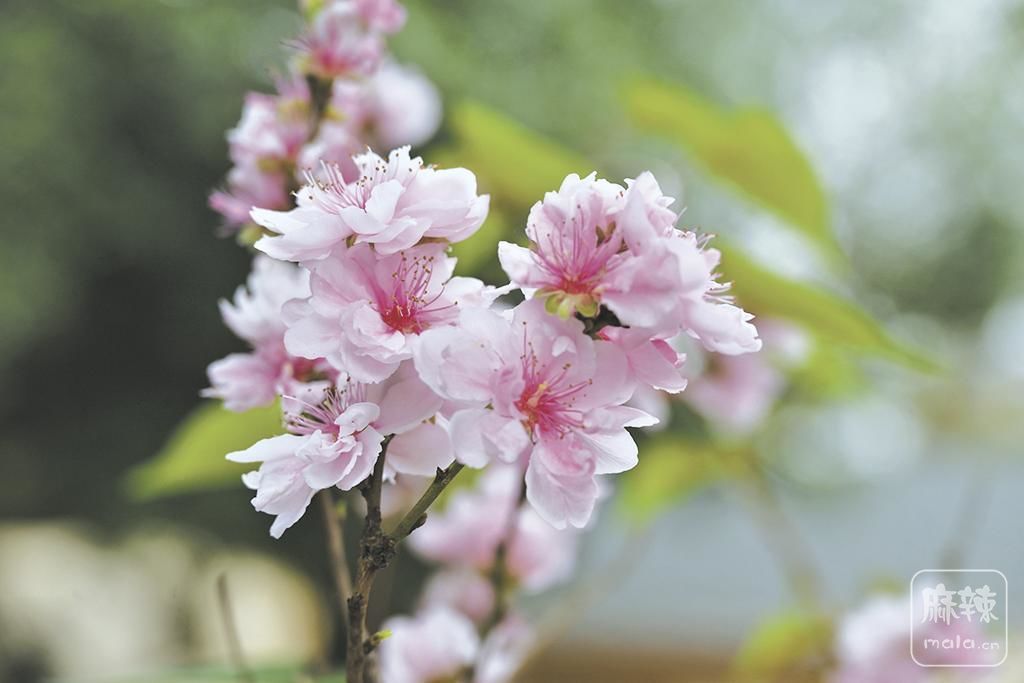 f8ecbe14-b123-4c5a-985a-098b023a379e.tif.2