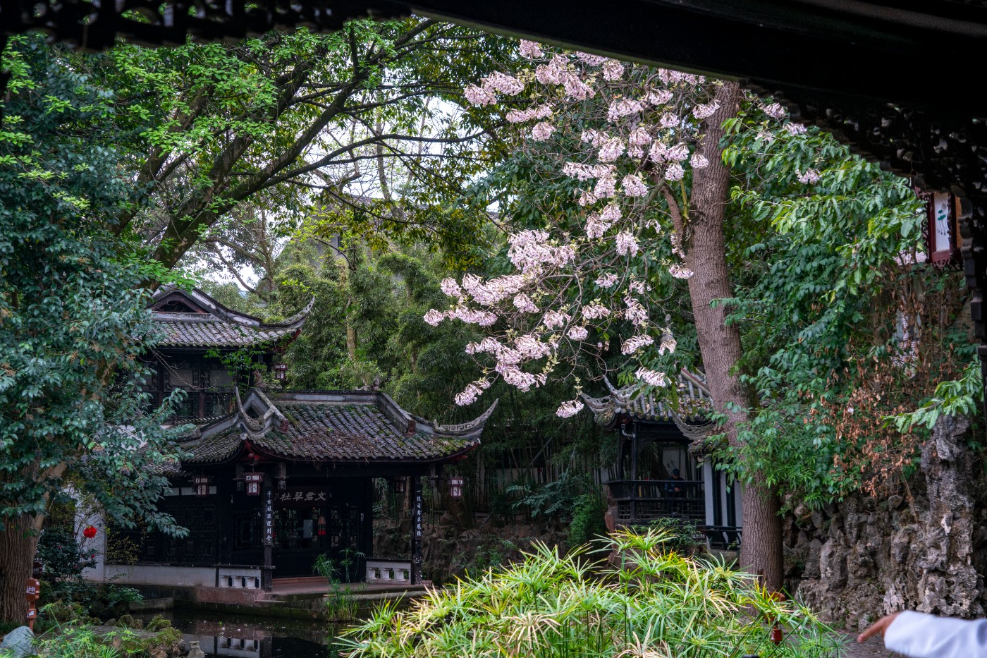 DSC00114 ����.jpg