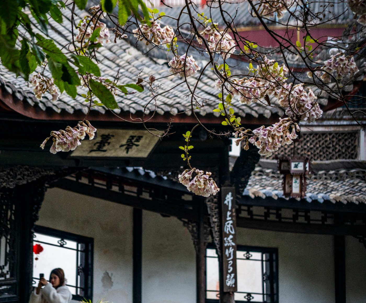 DSC00103 ����.jpg