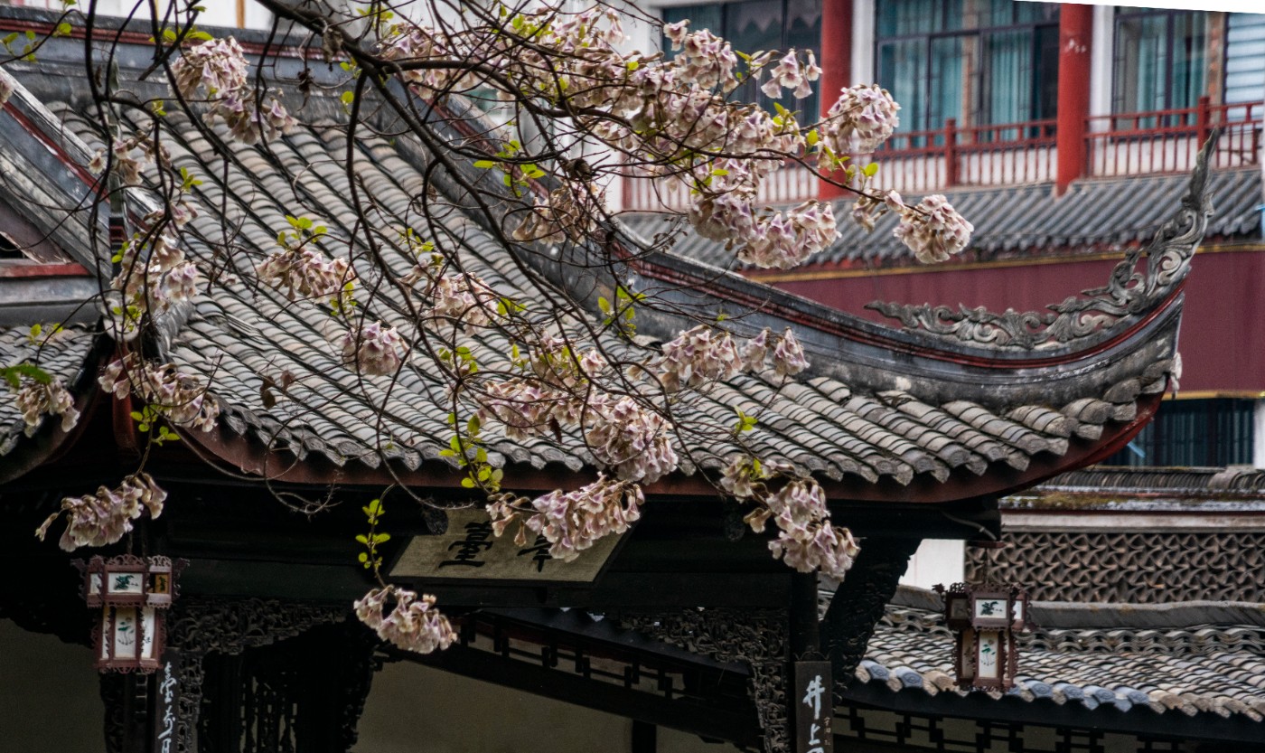 DSC00097 ����.jpg