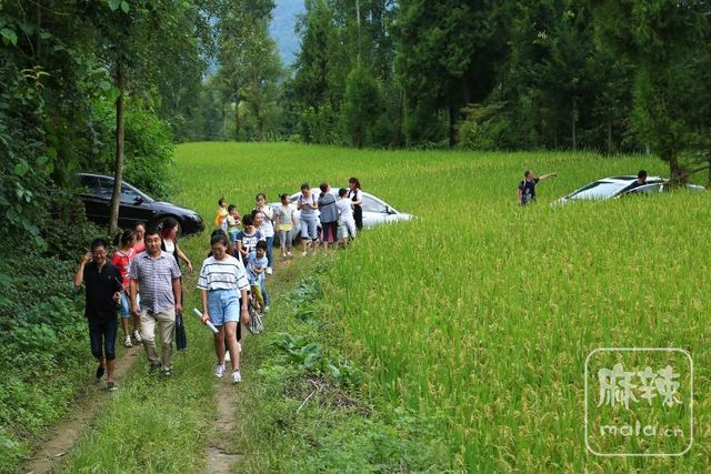 0ea66689399f4ec28e612b009904e51b~tplv-tt-shrink:640:0.image