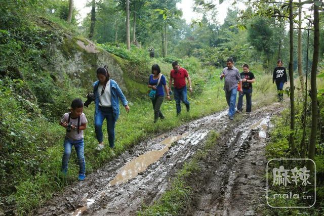 9ee6e1ae28cf40588a6df724564571f3~tplv-tt-shrink:640:0.image