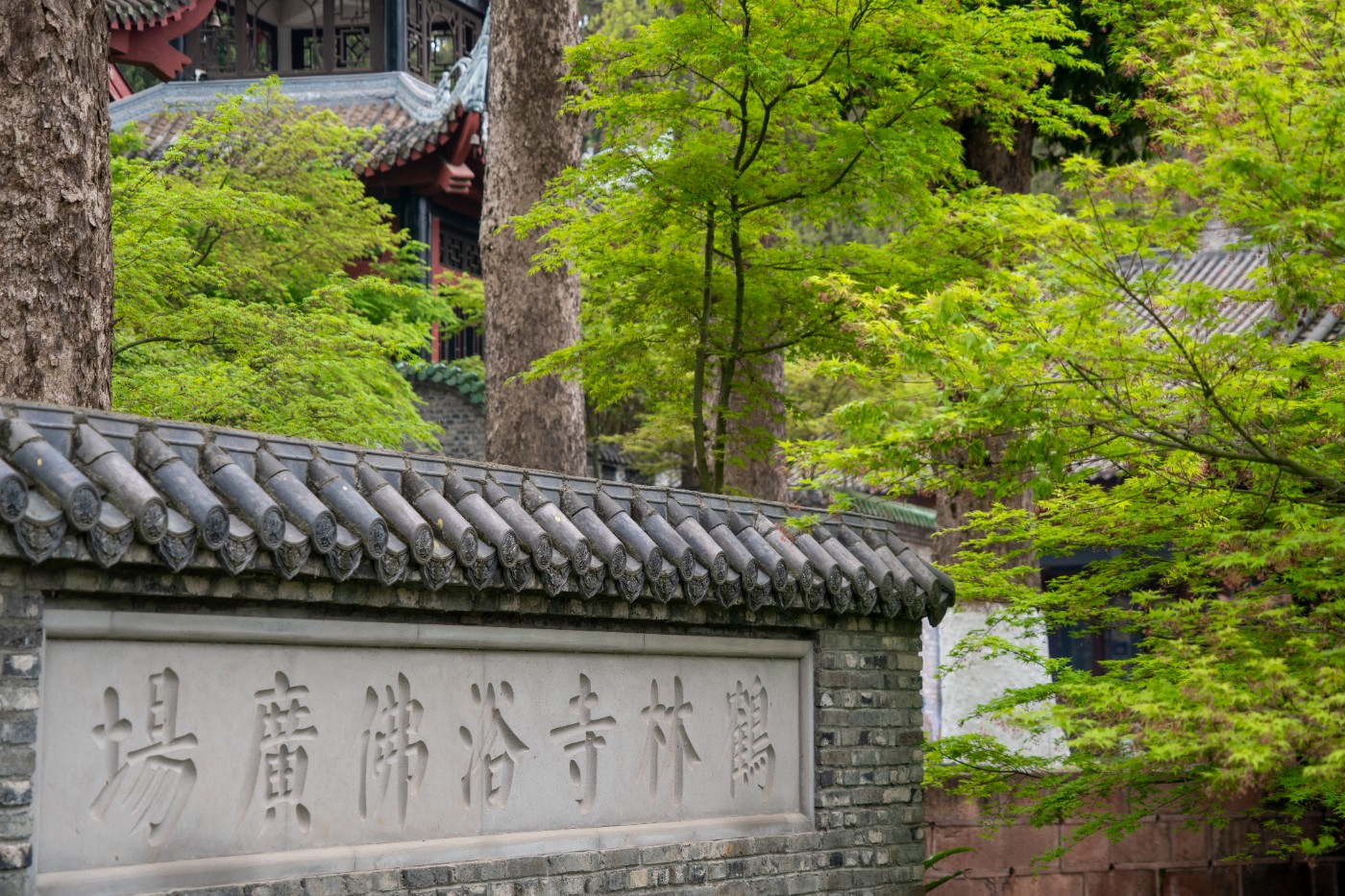 DSC00013 ����.jpg