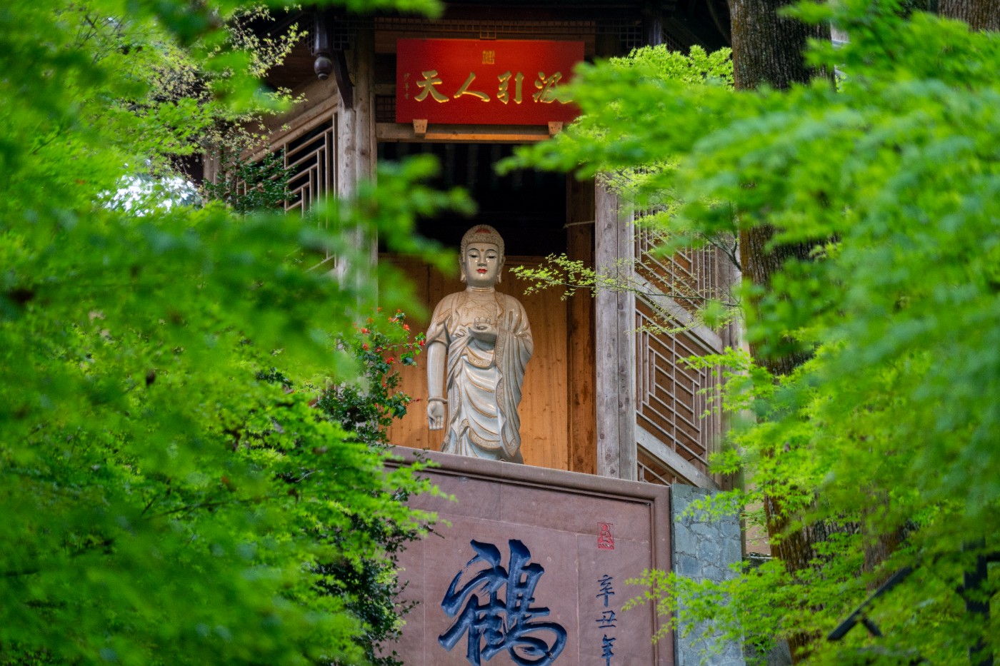 DSC00009 ����.jpg