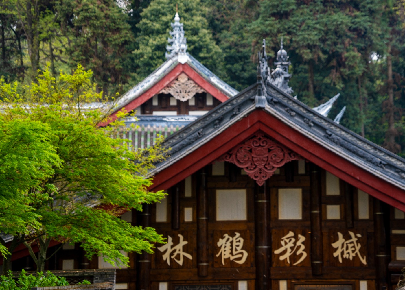 DSC00019 ����.jpg