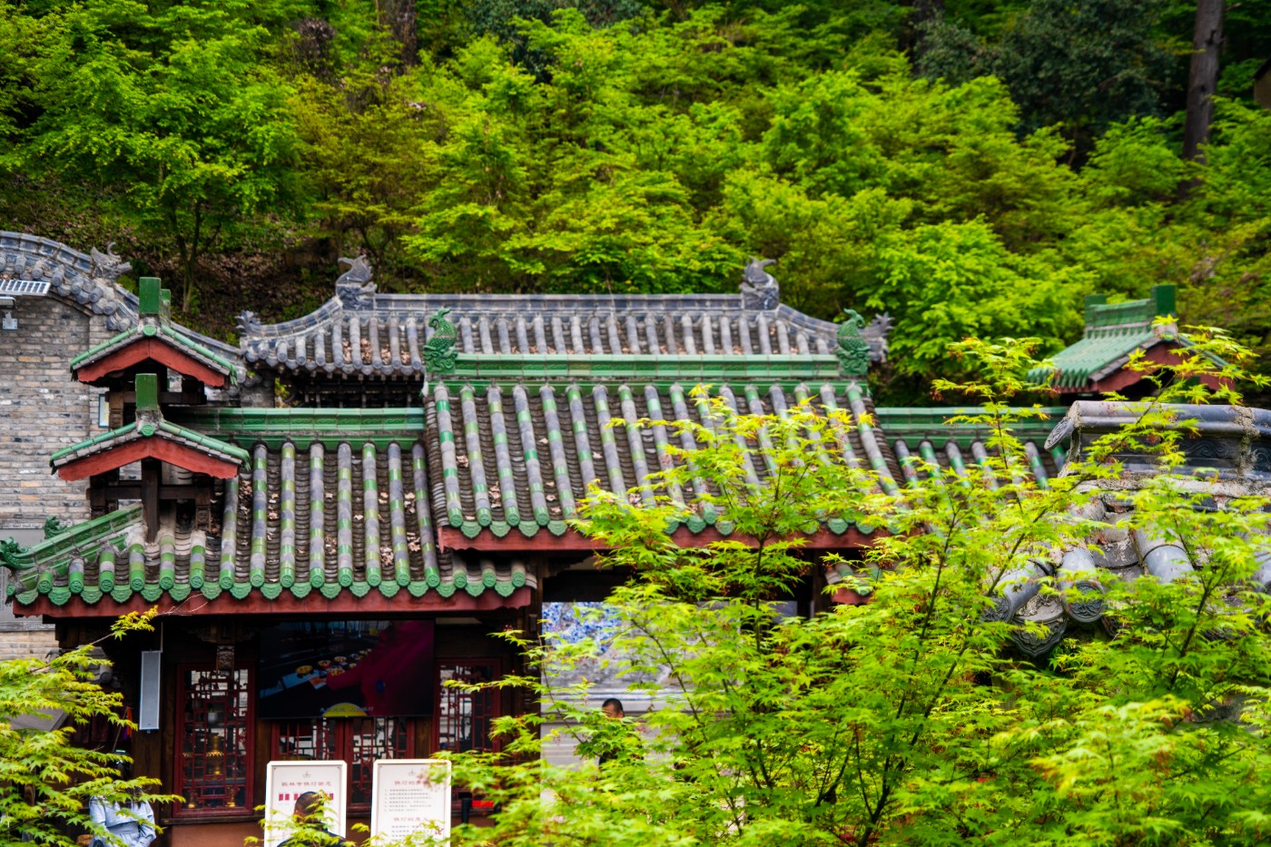 DSC00024 ����.jpg