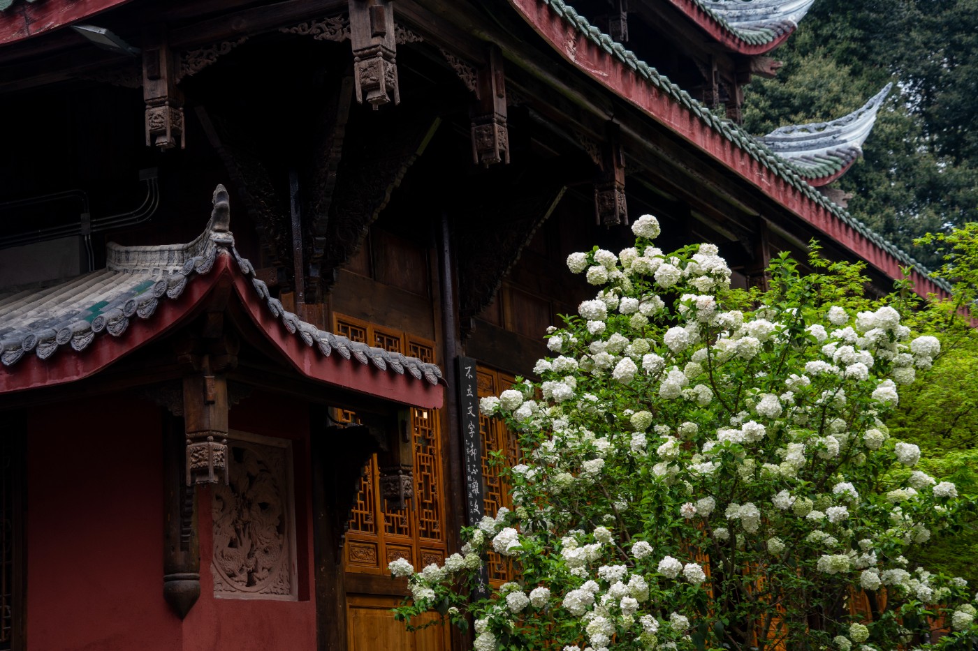 DSC00034 ����.jpg