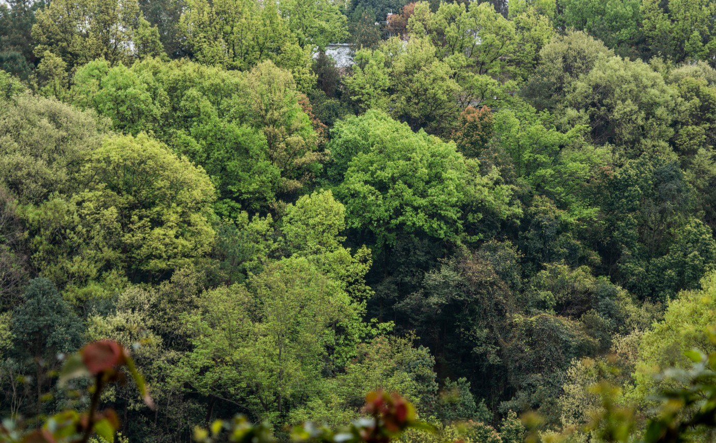 DSC00037 ����.jpg