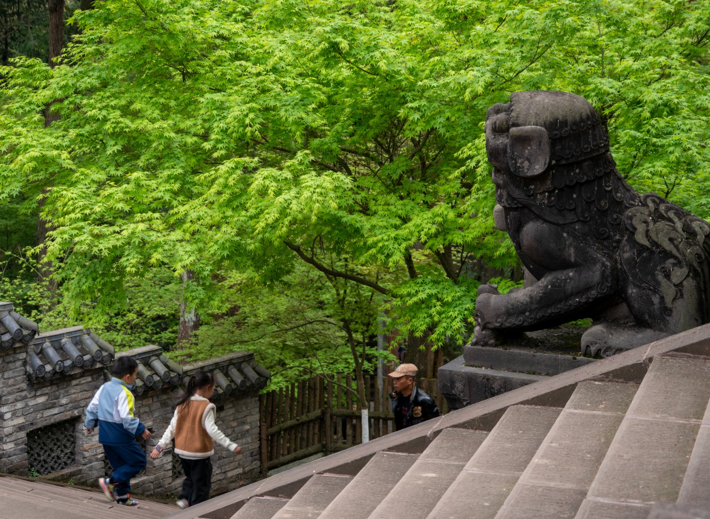 DSC00072 ����.jpg