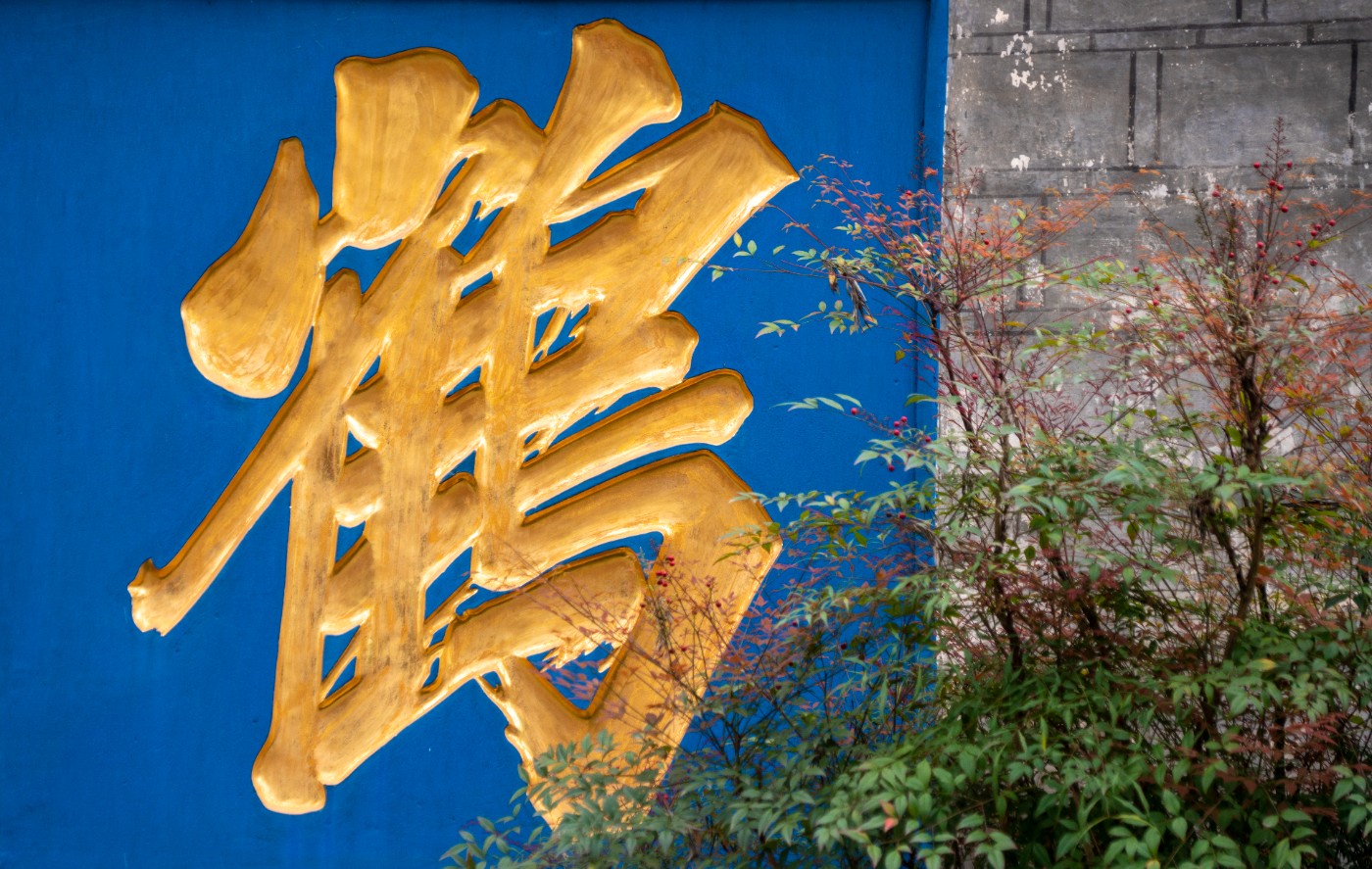 DSC00070 ����.jpg