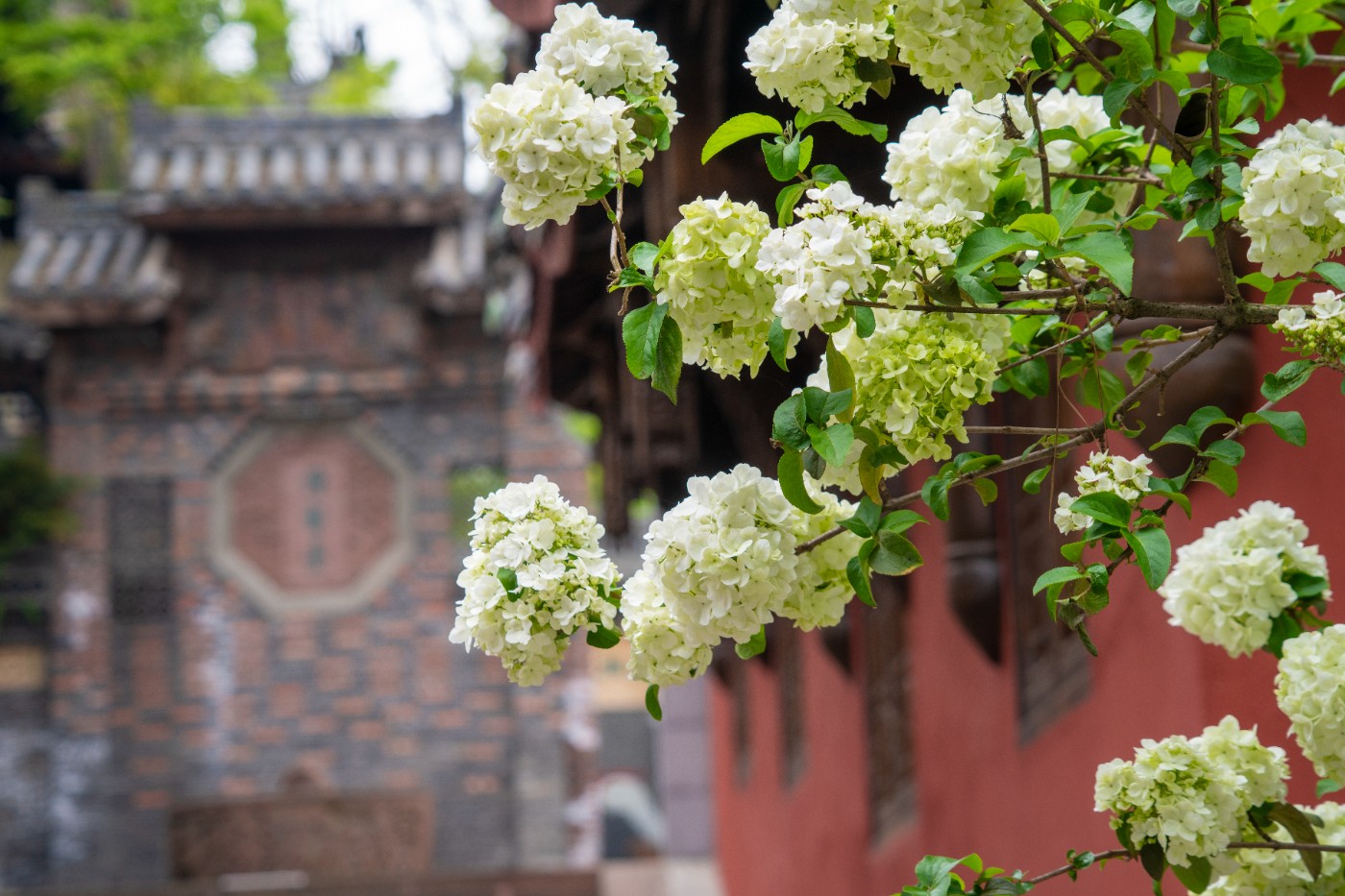 DSC00058 ����.jpg