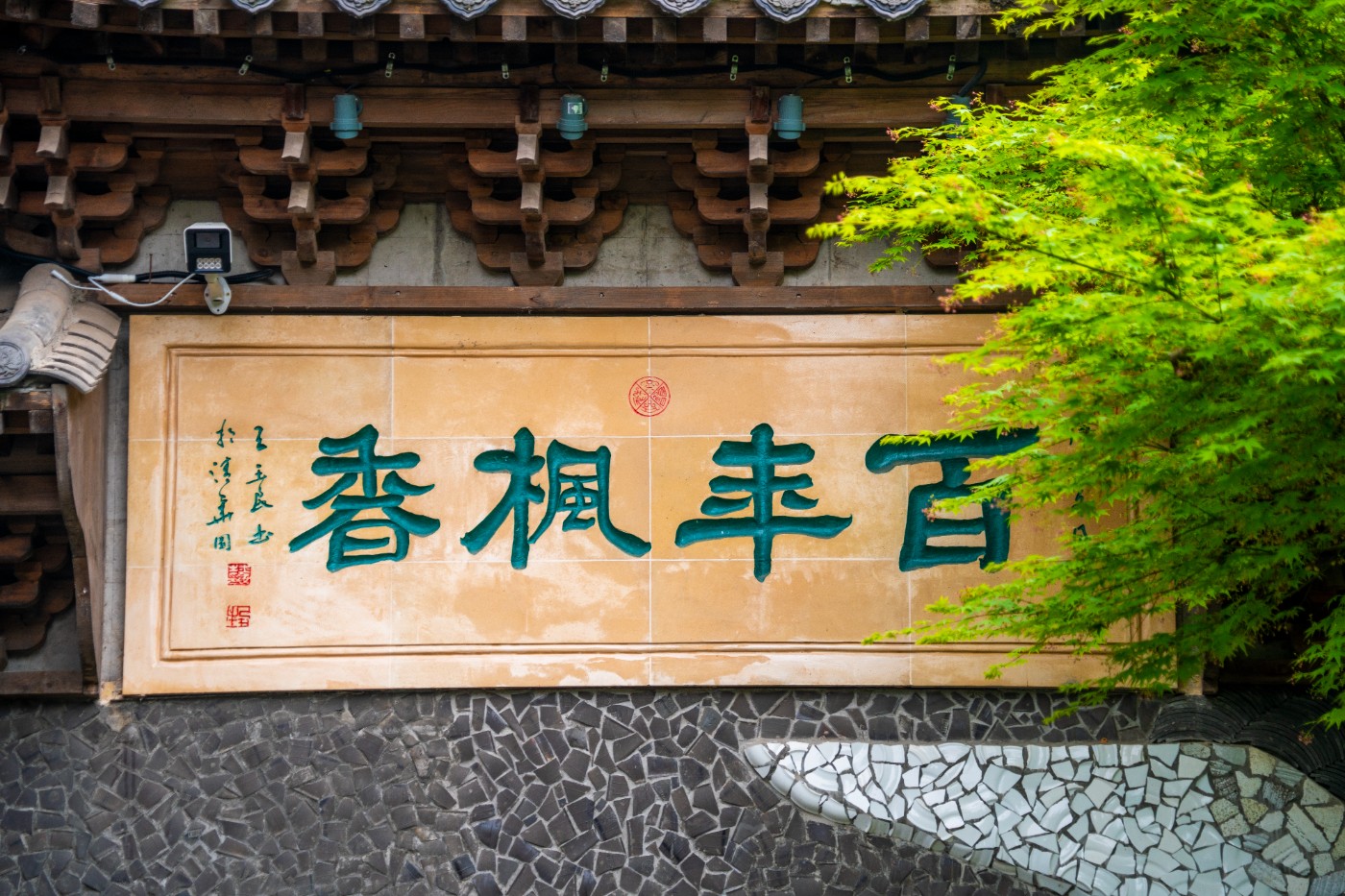 DSC00026 ����.jpg