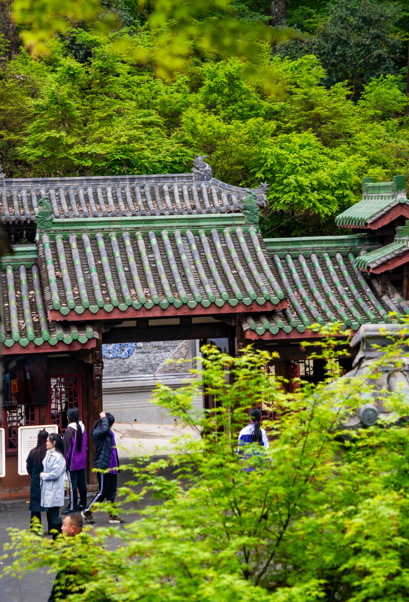 DSC00023 ����.jpg