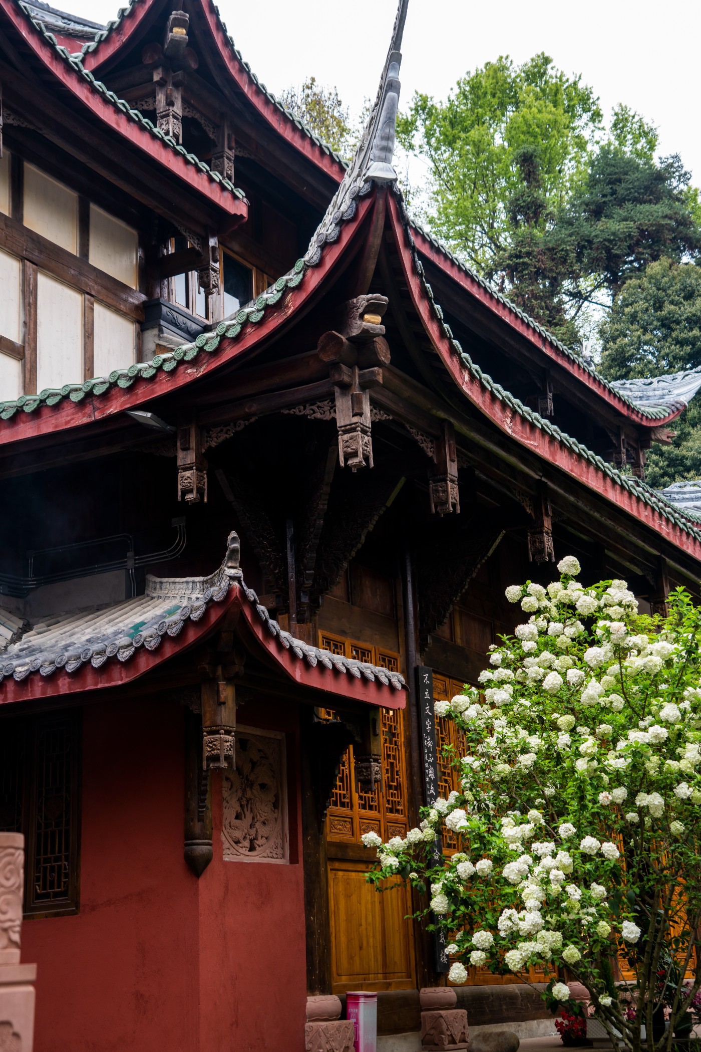 DSC00033 ����.jpg