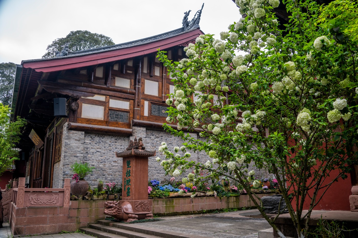 DSC00057 ����.jpg