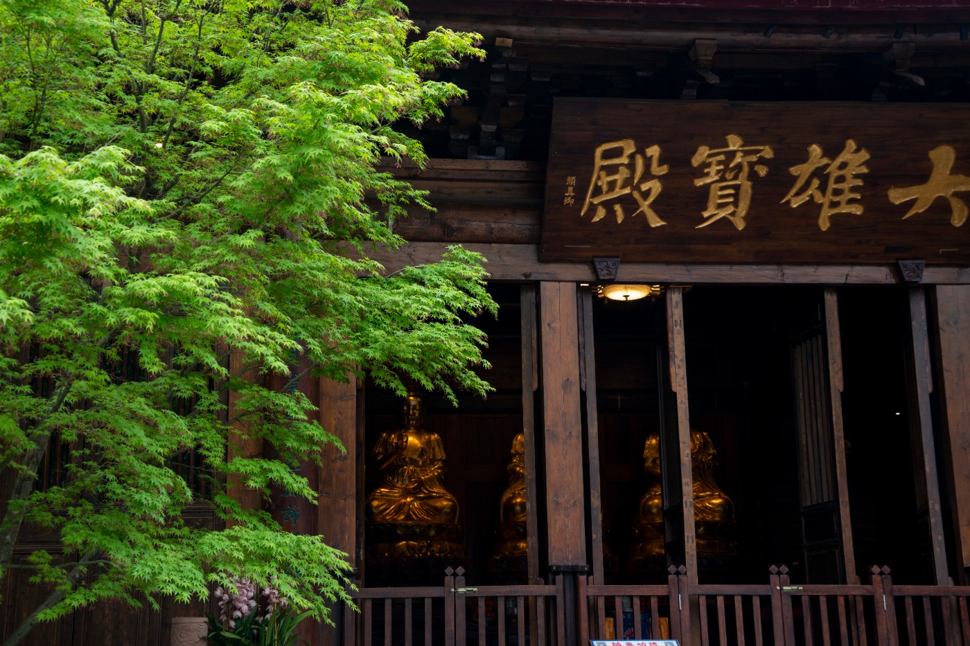 DSC00060 ����.jpg